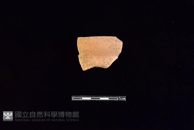 陶罐藏品圖，第1張