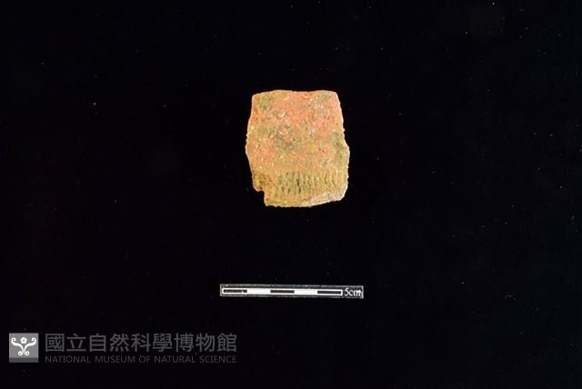 陶罐藏品圖，第1張