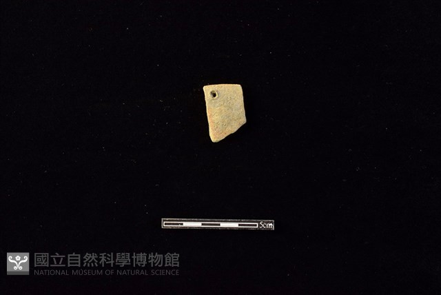 陶片藏品圖，第1張