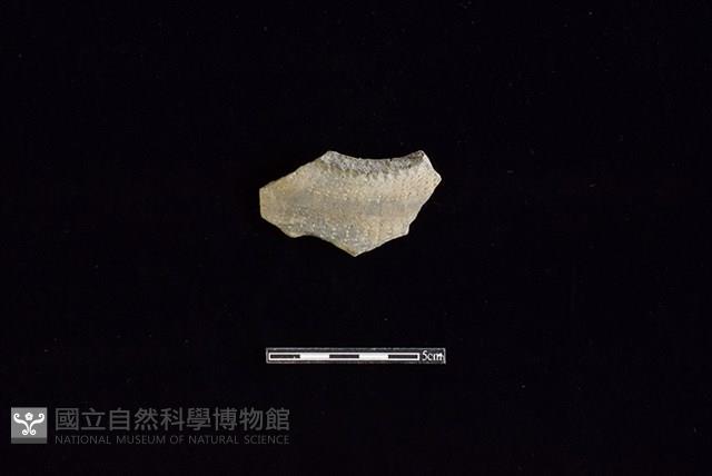 陶罐藏品圖，第1張