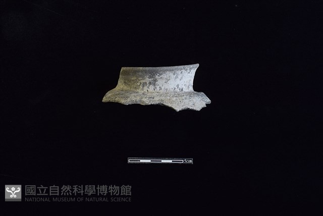 陶罐藏品圖，第1張