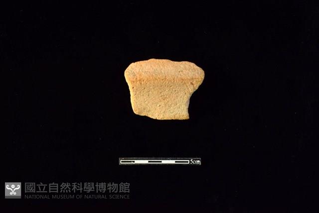 陶片藏品圖，第1張