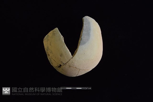 陶片藏品圖，第1張