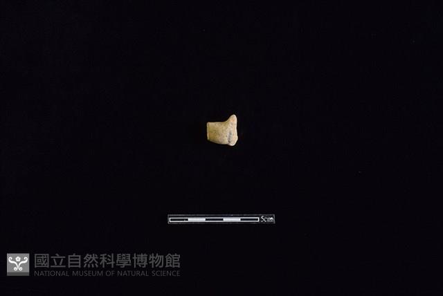 陶把藏品圖，第1張