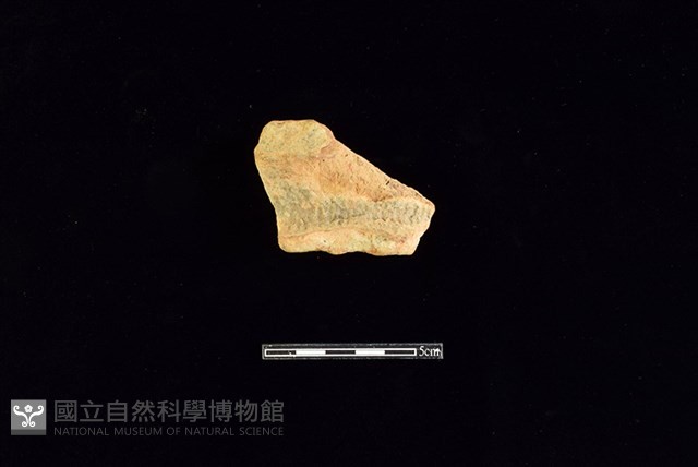 陶罐藏品圖，第1張