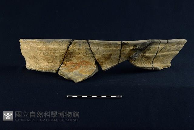 陶罐藏品圖，第1張