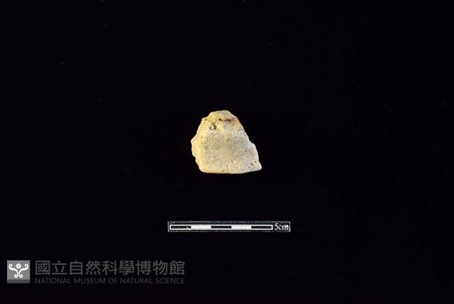 陶片藏品圖，第1張