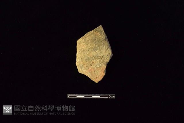 陶片藏品圖，第1張