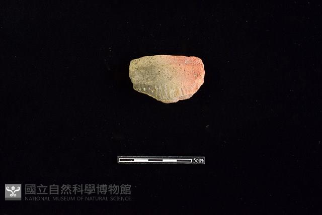 陶罐藏品圖，第1張