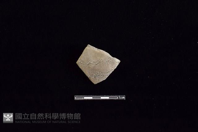 陶片藏品圖，第1張