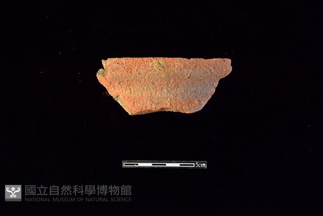 陶罐藏品圖，第1張