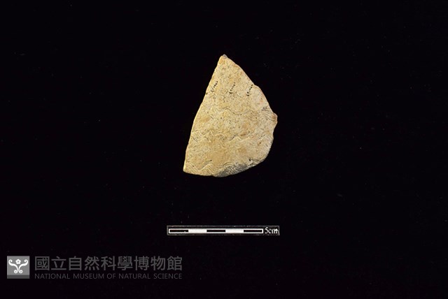 陶片藏品圖，第1張