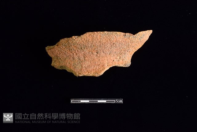 陶罐藏品圖，第1張