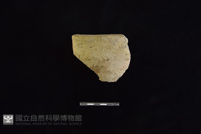 陶缽藏品圖，第1張