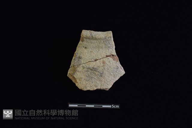 陶罐藏品圖，第1張