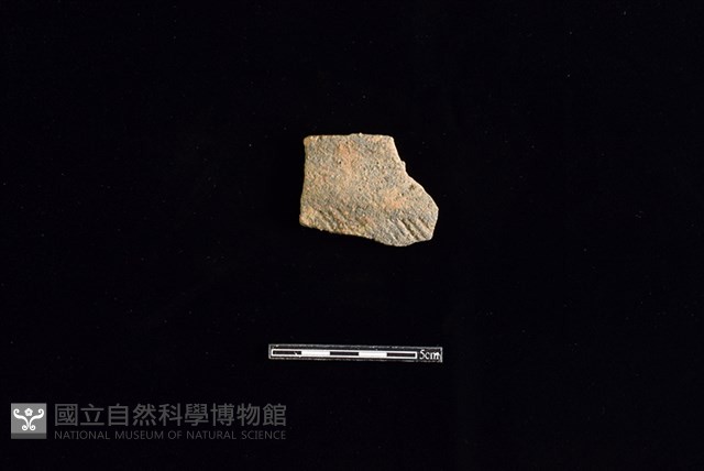 陶缽藏品圖，第1張