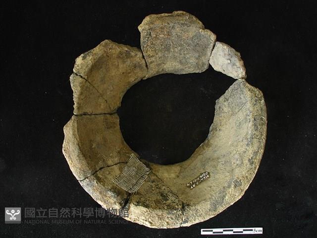 陶片藏品圖，第1張