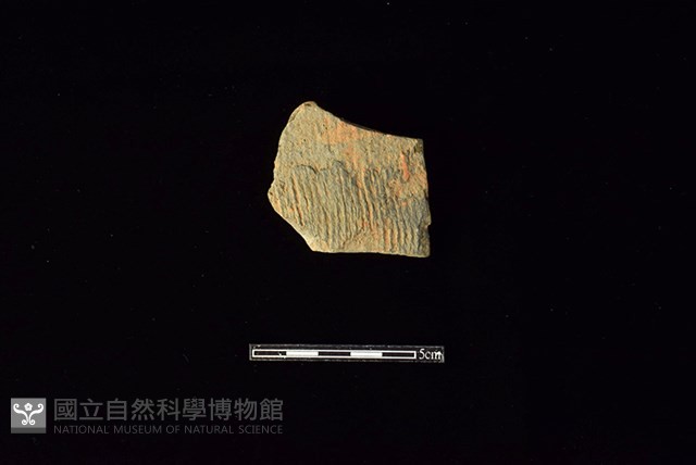 陶片藏品圖，第1張