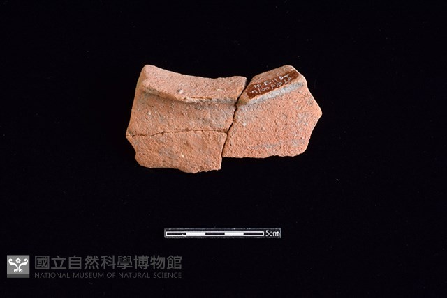 陶罐藏品圖，第1張