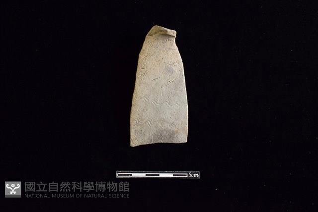 Accession Number:HLL-D PT3100 Collection Image, Figure 1, Total 2 Figures