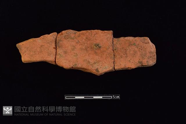 連杯形器藏品圖，第1張