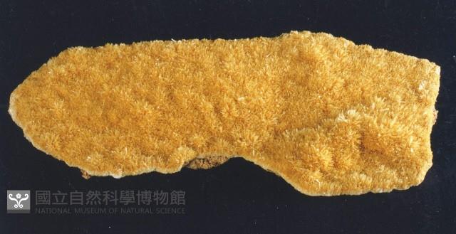 透石膏藏品圖，第3張