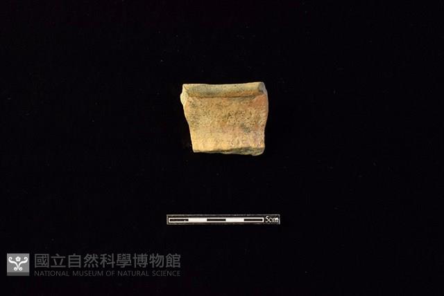 陶罐藏品圖，第1張