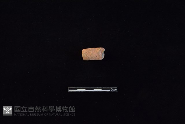 陶把藏品圖，第1張