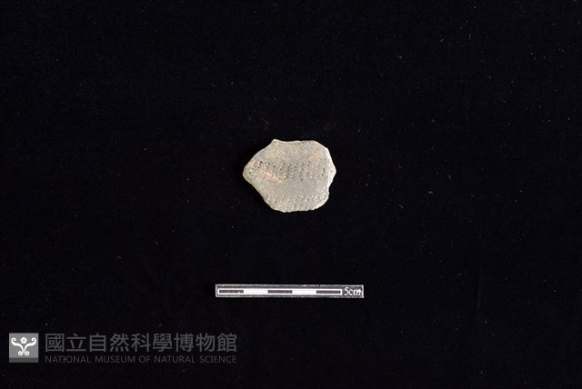 陶片藏品圖，第1張
