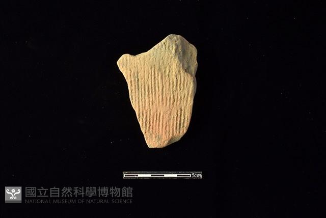 Accession Number:HLL-H PT0800 Collection Image, Figure 1, Total 2 Figures