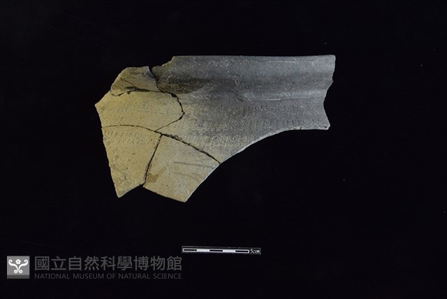 陶罐藏品圖，第1張