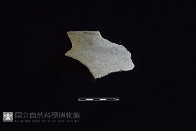 陶罐藏品圖，第1張