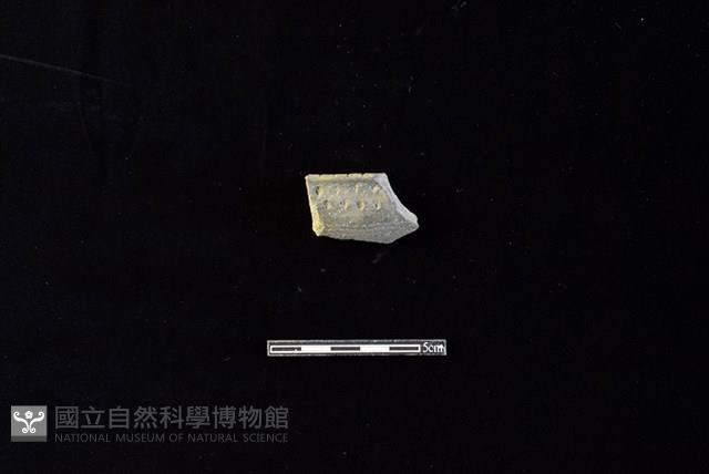 陶片藏品圖，第1張