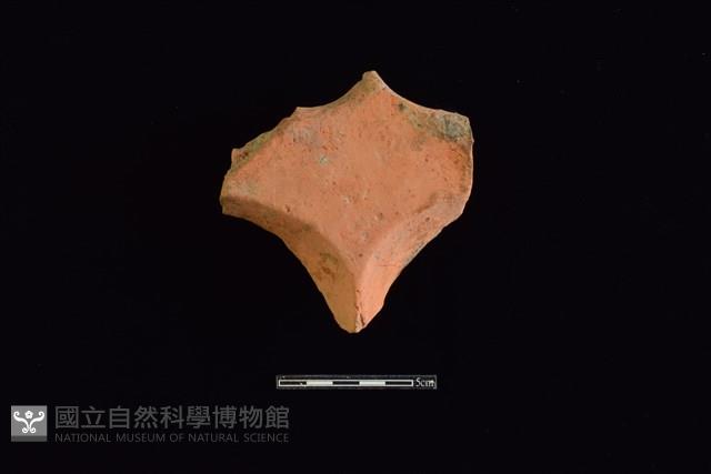 連杯形器藏品圖，第1張