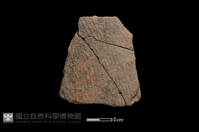 陶片藏品圖，第1張
