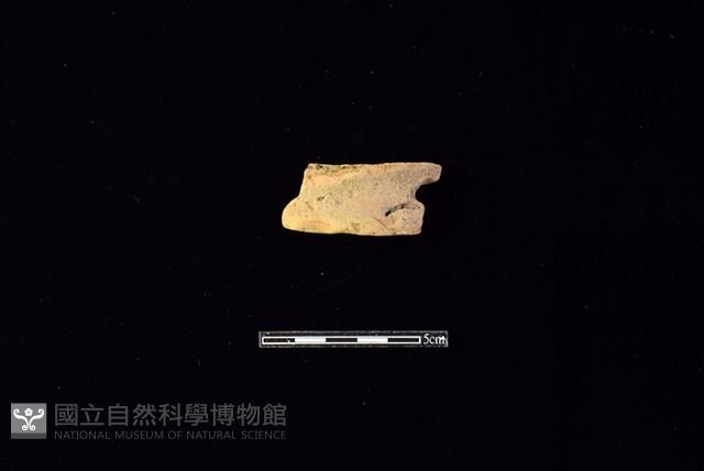 陶片藏品圖，第1張