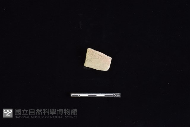 陶片藏品圖，第1張