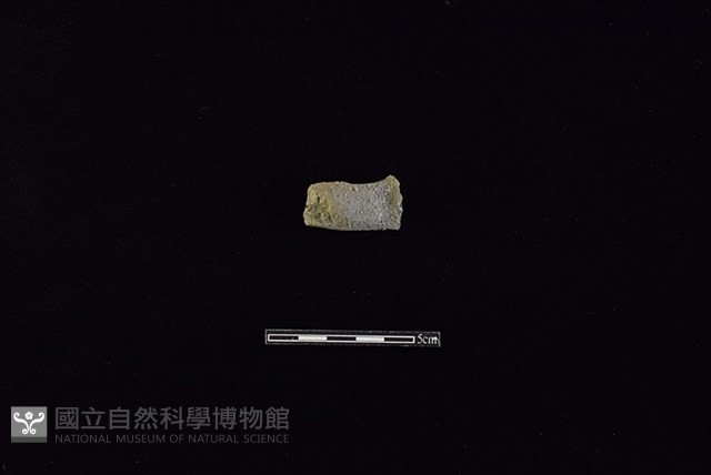 陶把藏品圖，第1張