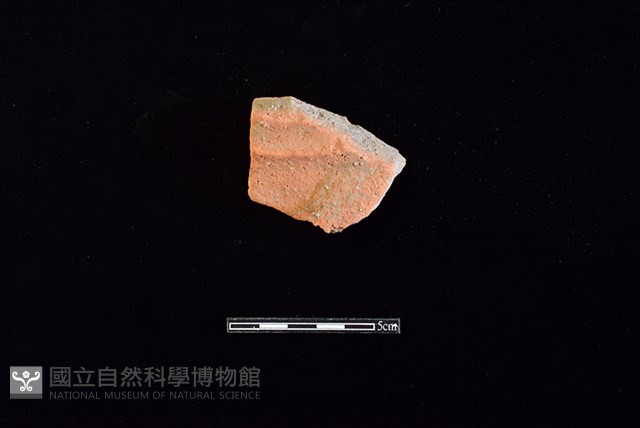 陶罐藏品圖，第1張