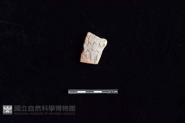 陶片藏品圖，第1張