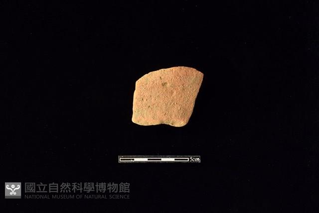 Accession Number:HLL-H PT0450 Collection Image, Figure 1, Total 2 Figures