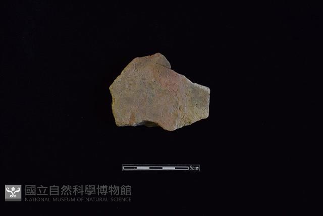 Accession Number:HLL-J PT1450 Collection Image, Figure 1, Total 2 Figures