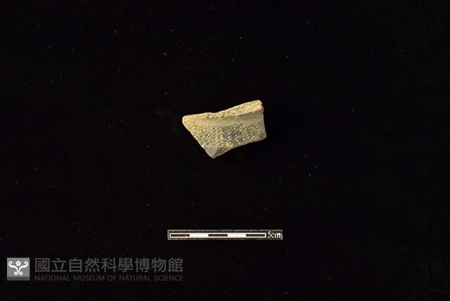 陶罐藏品圖，第1張