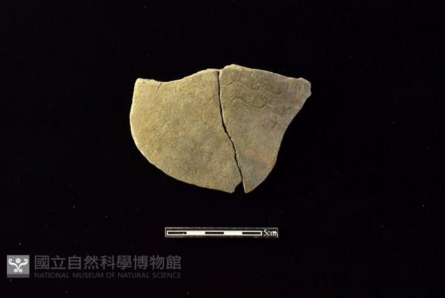 陶片藏品圖，第1張