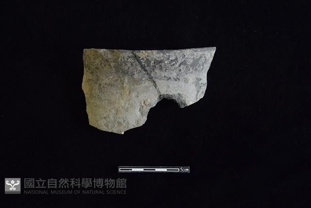 Accession Number:HLL-J PT1750 Collection Image, Figure 1, Total 2 Figures