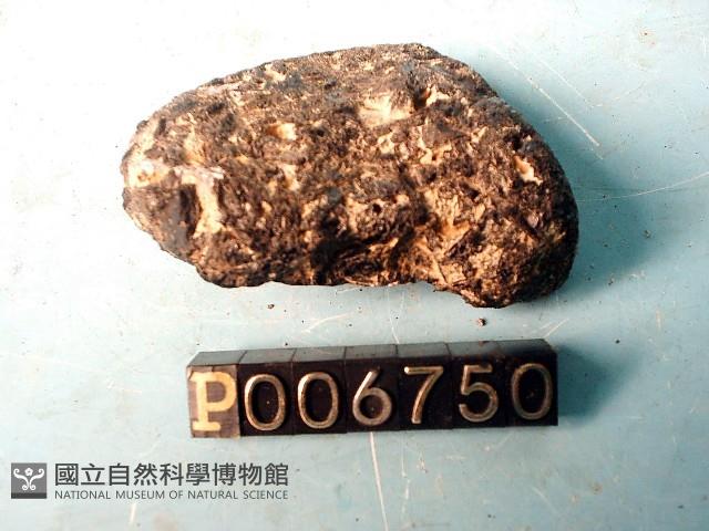 角閃石團塊藏品圖，第3張
