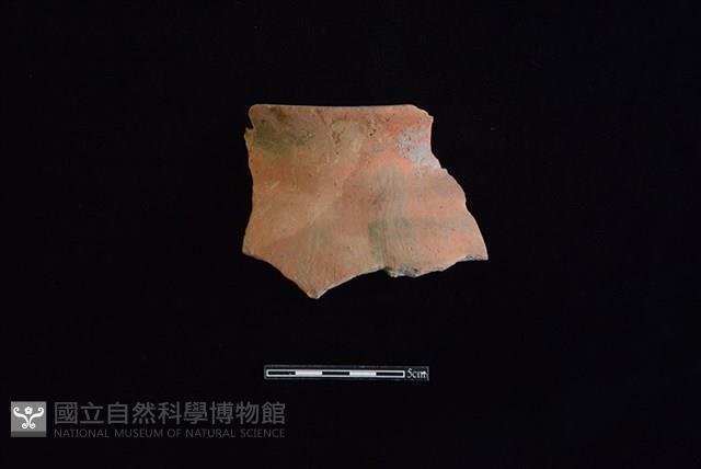 Accession Number:HLL-J PT1630 Collection Image, Figure 1, Total 2 Figures