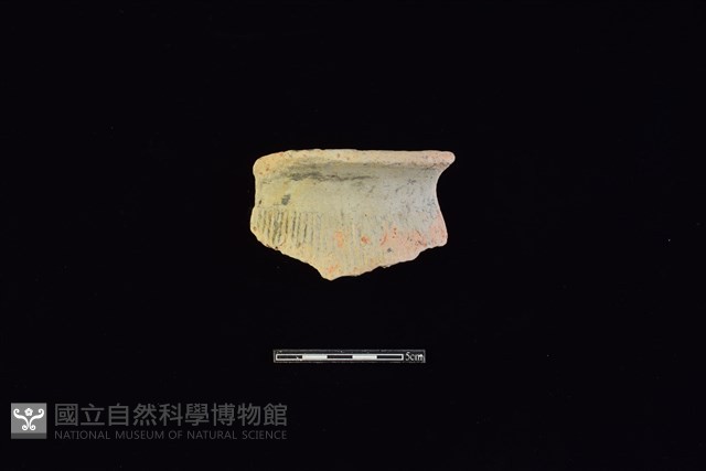 陶罐藏品圖，第1張