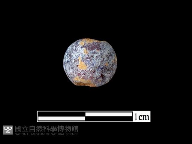 玻璃珠藏品圖，第1張