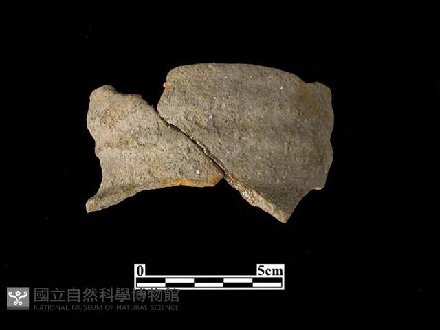 陶罐藏品圖，第1張